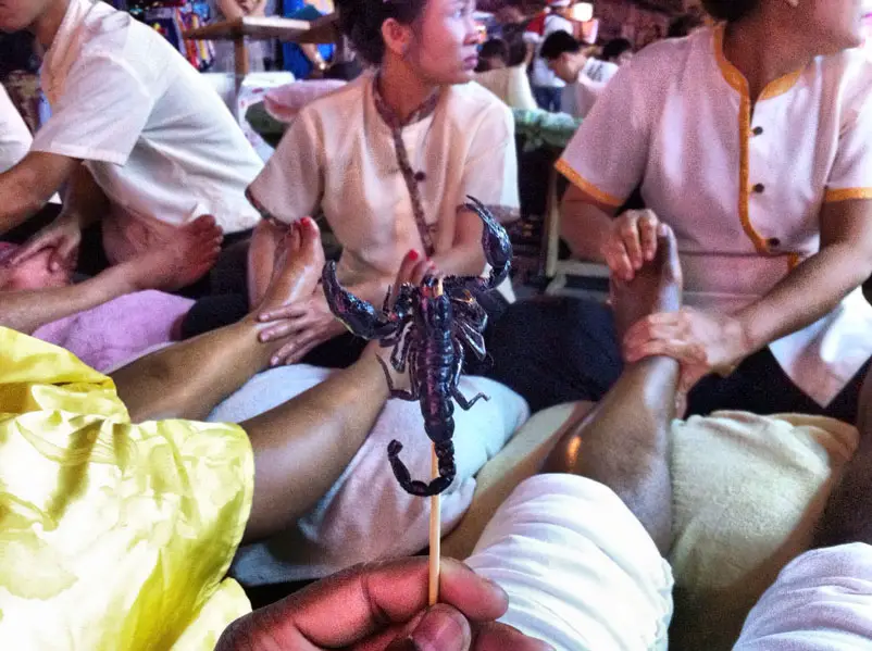 2 Thai Foot Massages and 1 Scorpion - a Delicacy in Thailand