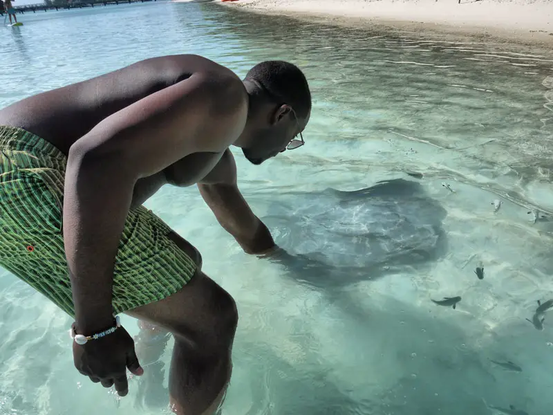 Mase Stroking a Stingray on the Beach in Bora Bora