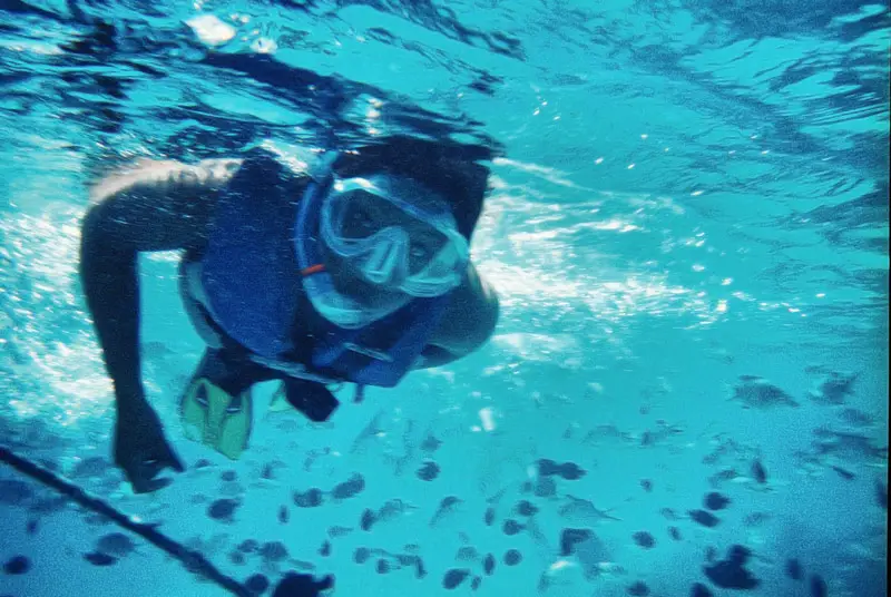 Nat Swimming in the Pacific Ocean Trying to Catch a Shark