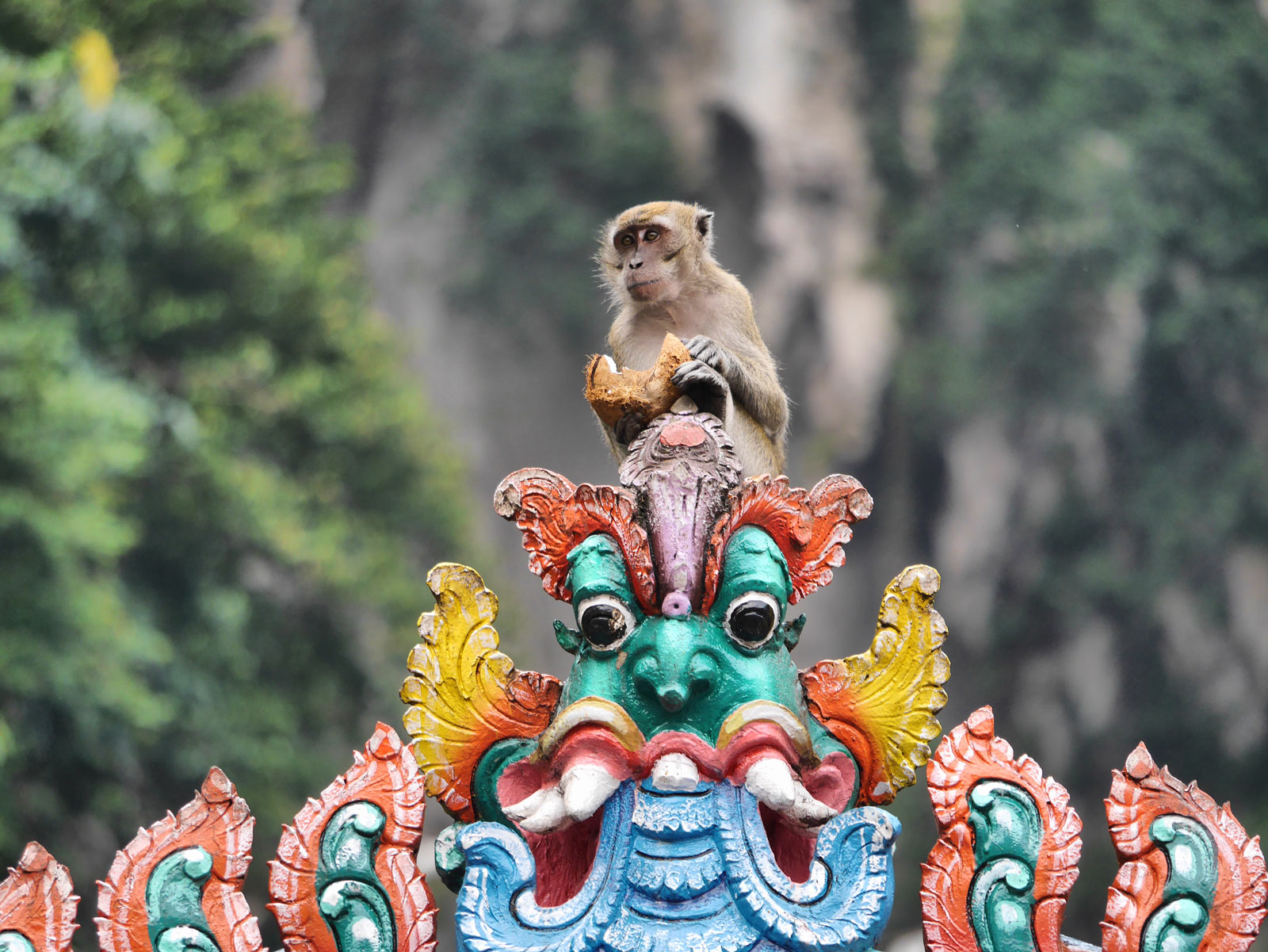 Monkey Eating Coconut on top of the Gate at Batu Caves Temple