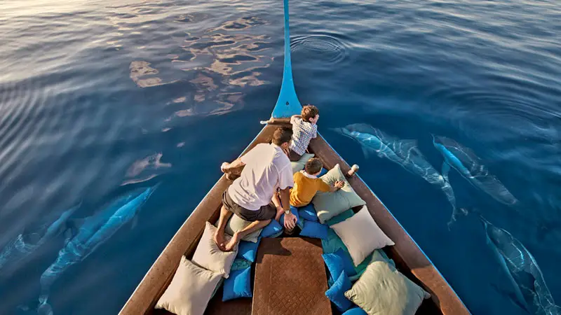 Four Seasons Kuda Huraa treats Families to a fun Dolphin Cruise