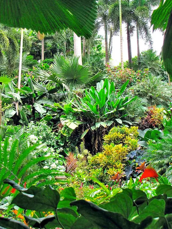 Hunte's Gardens in Barbados