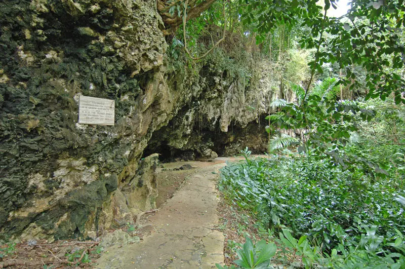 Welchman Hall Gully Tropical Preserve in Barbados