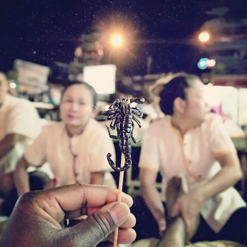 Bangkok - Eat Scorpion on Stick in Khao San Road