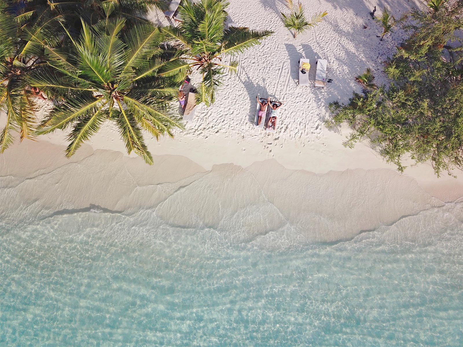 Family on Bandos Maldives Island - Birds Eye Drone View (Best Beaches in the World)