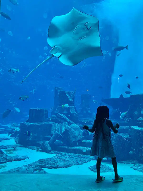 Girl Kid Meeting Stingrays & Sharks at Atlantis The Palm Dubai Aquarium