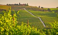 7 Best Wine Tour Destinations in Europe: Italy, Spain, Portugal…