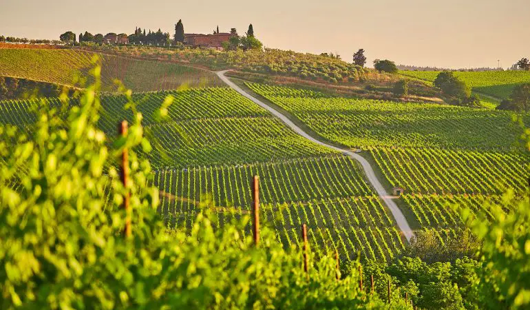 7 Best Wine Tour Destinations in Europe: Italy, Spain, Portugal…