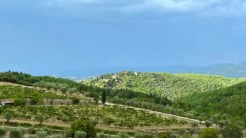 Tuscany Wine Farms - Wine Country Region