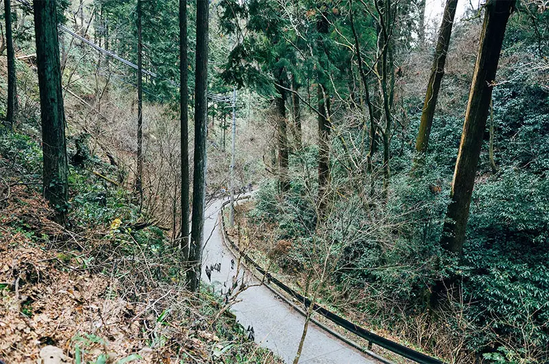 Hiking Trail on Mount Takao in Japan