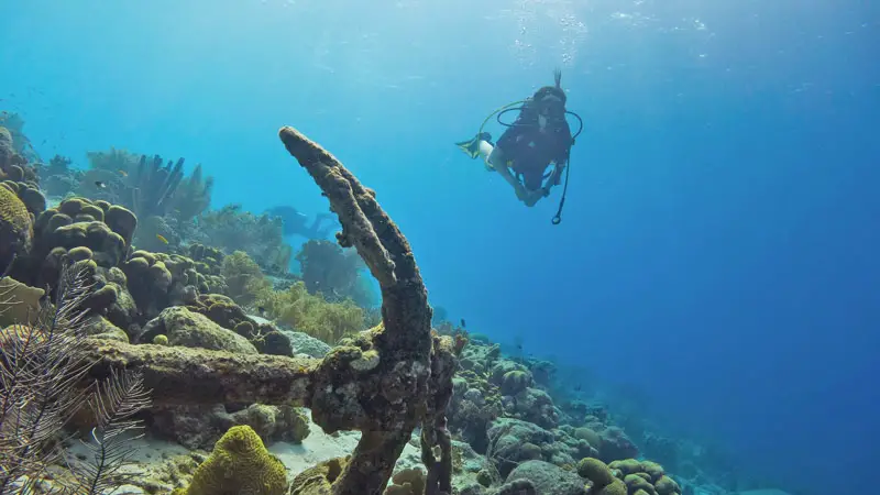 Diving with Coral Reef in Bonaire Leeside