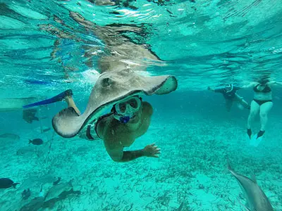 Wear a Sting Ray Hat on Your Head