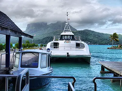 Water Taxi: Cruise From the Airport to the Hotel