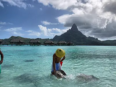 Feed Stingrays on the Beach at 2 O’Clock Daily