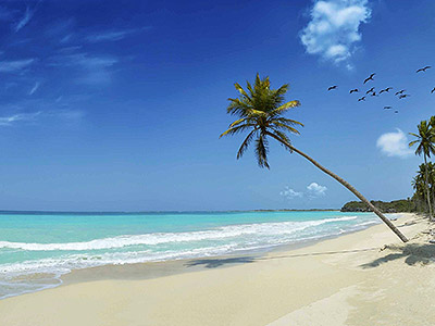 Soaking Up the Sun on 7 Mile Beach