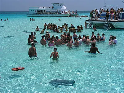 Surrounded by Sting Rays at Sting Ray City