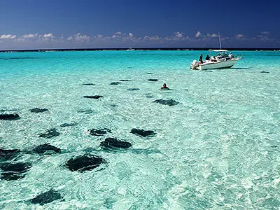 Speed Boat Cruising and Feeding Some Sting Rays Along the Way