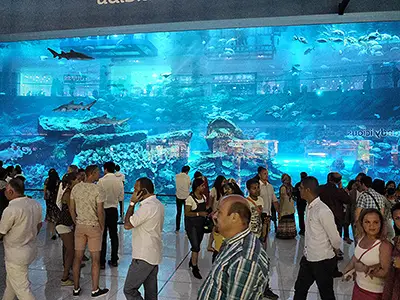 Strolling Past the Aquarium Inside Dubai Mall