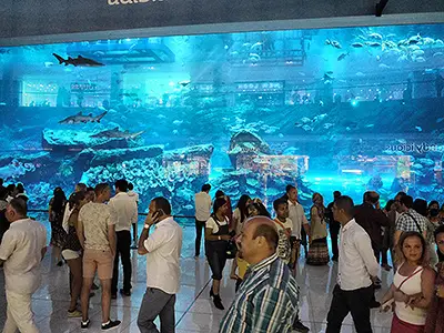 Dubai Aquarium: See the Sealife from the Outside