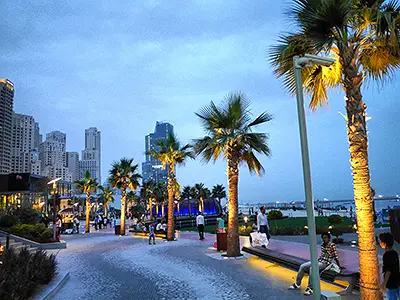 Walk Among the Palm Trees on JBR's Beach