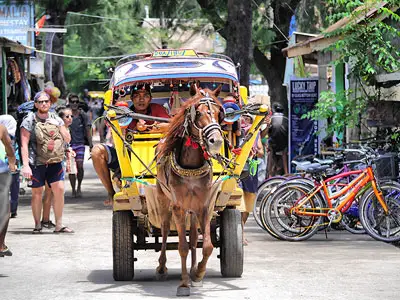 Ride a Horse & Cart Taxi on Gili Trawangan