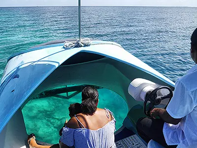 Indian Ocean: Take a Glass-Bottom Boat Tour