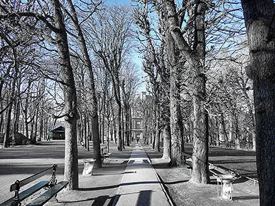 Stroll through Jardin du Luxembourg