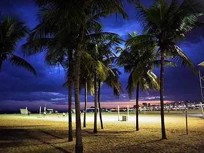 Palm Trees & Sunset on the Beach